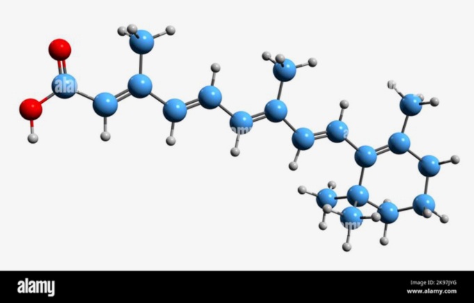 Tretinoina generico